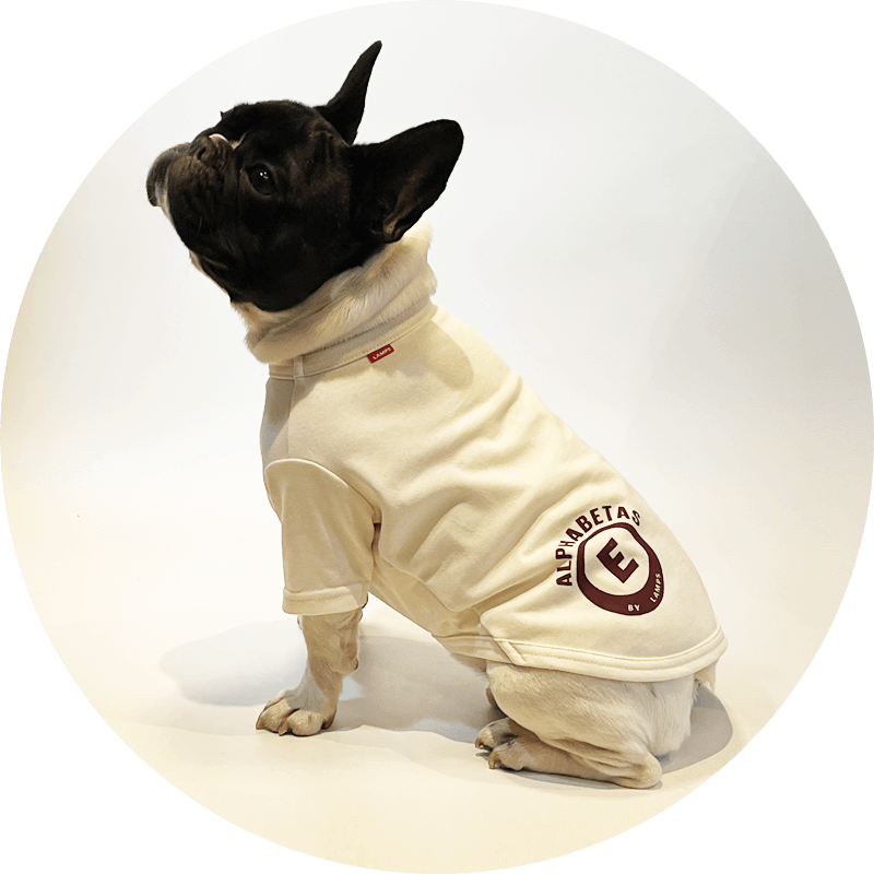 わんこTシャツ(抹茶色)