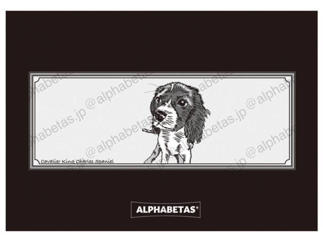 犬シリーズ⑥